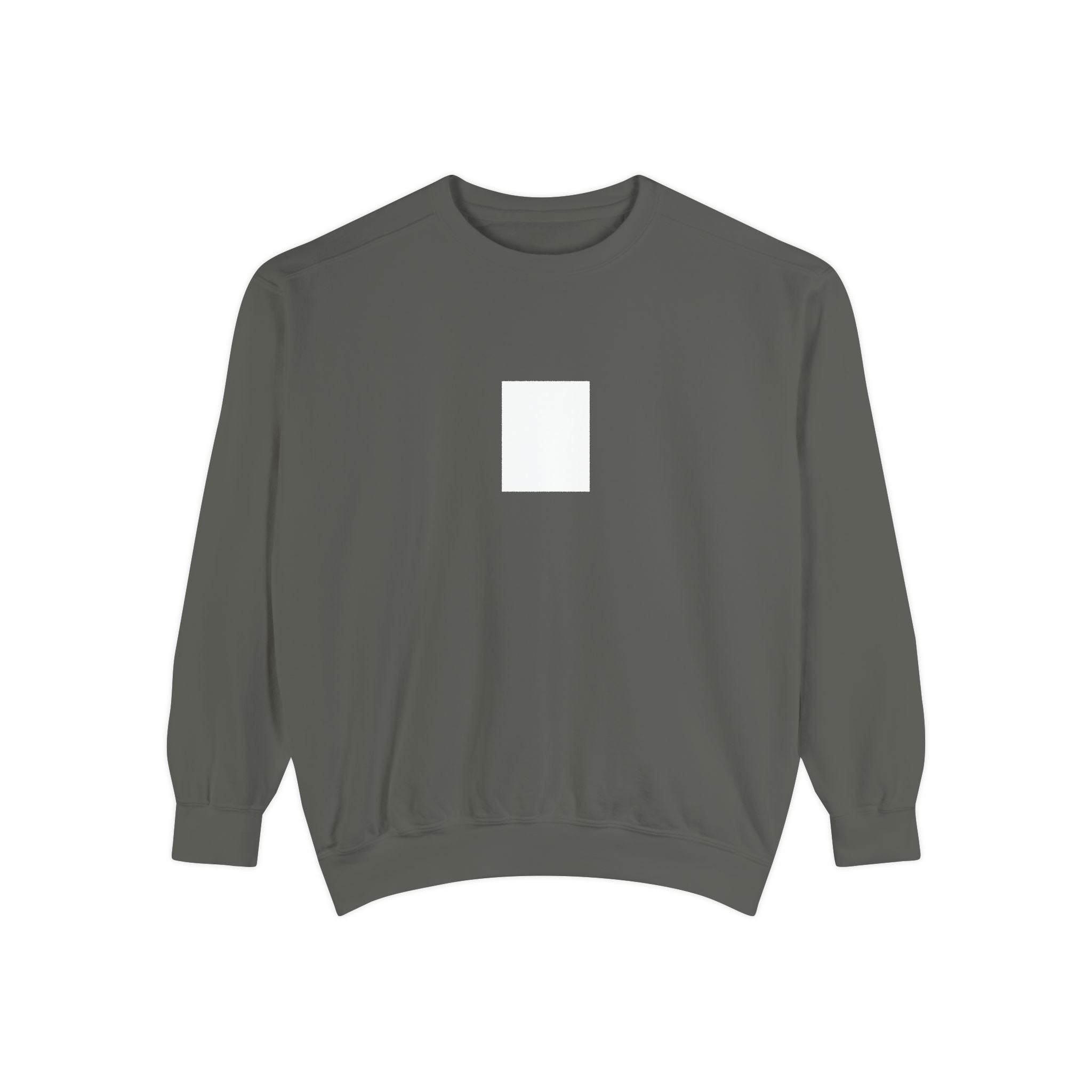 Legends Are Misfits x Comfort Colors "BLANK SLATE" Graphic Sweatshirt