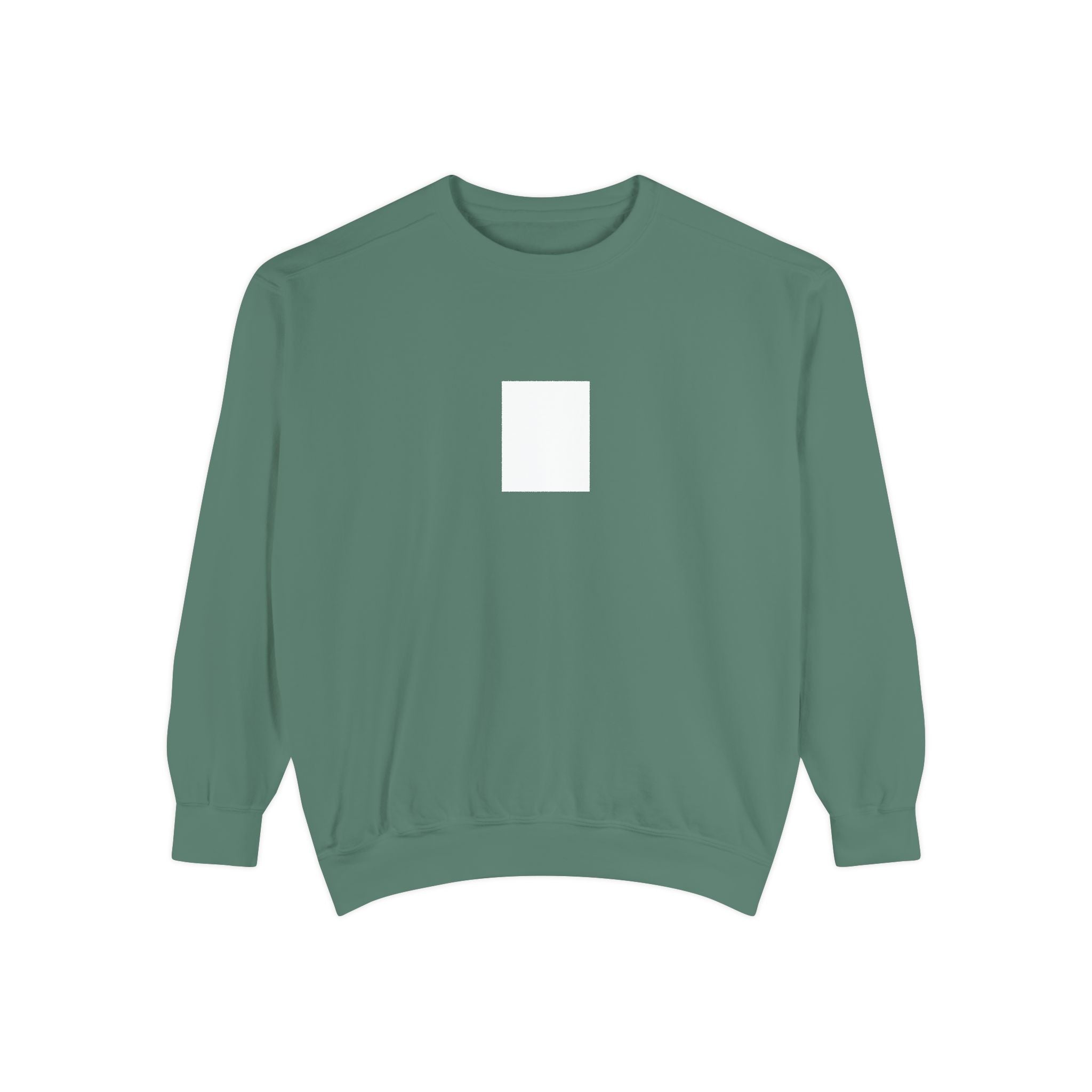Legends Are Misfits x Comfort Colors "BLANK SLATE" Graphic Sweatshirt