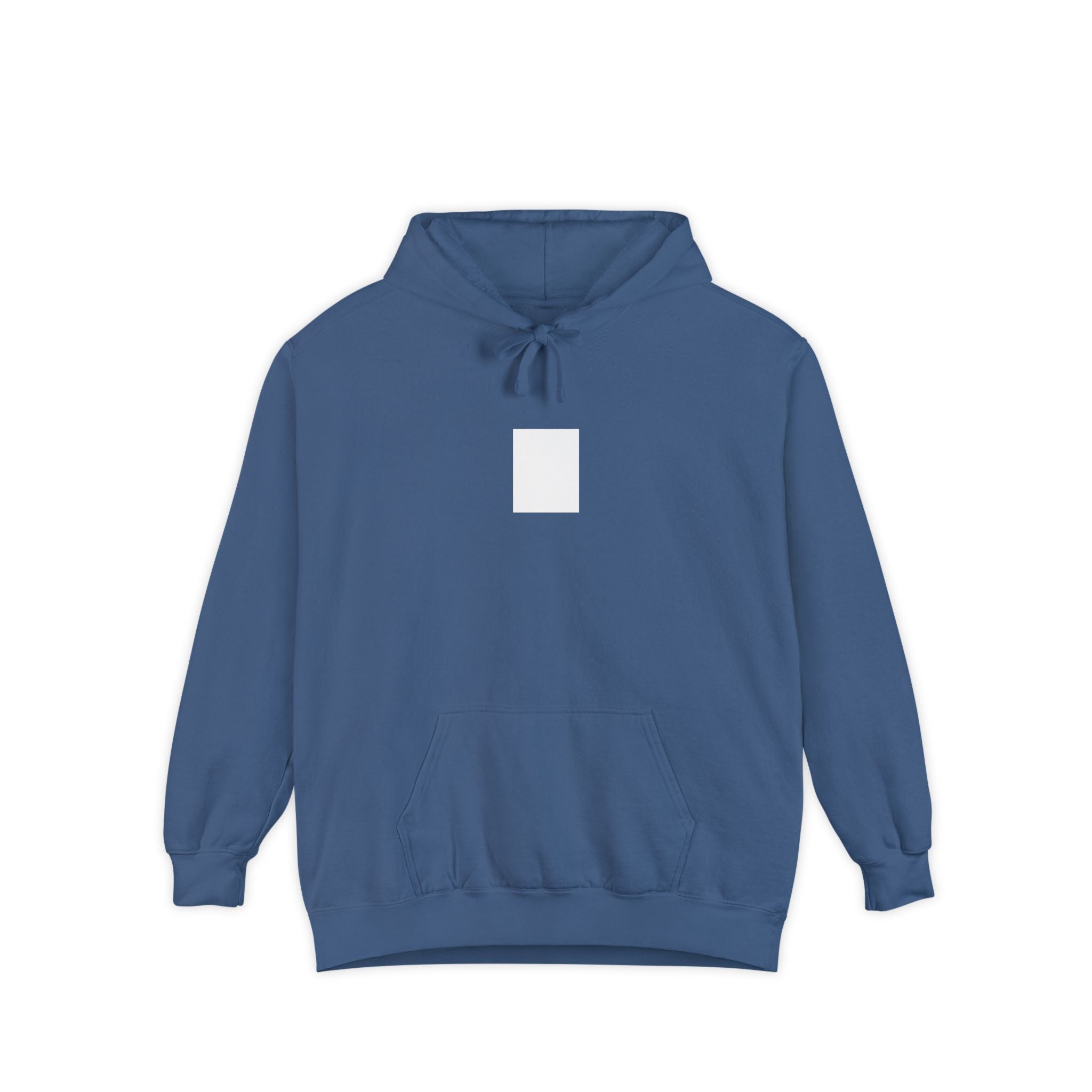 Legends Are Misfits x Comfort Colors "BLANK SLATE" Graphic Hoodie