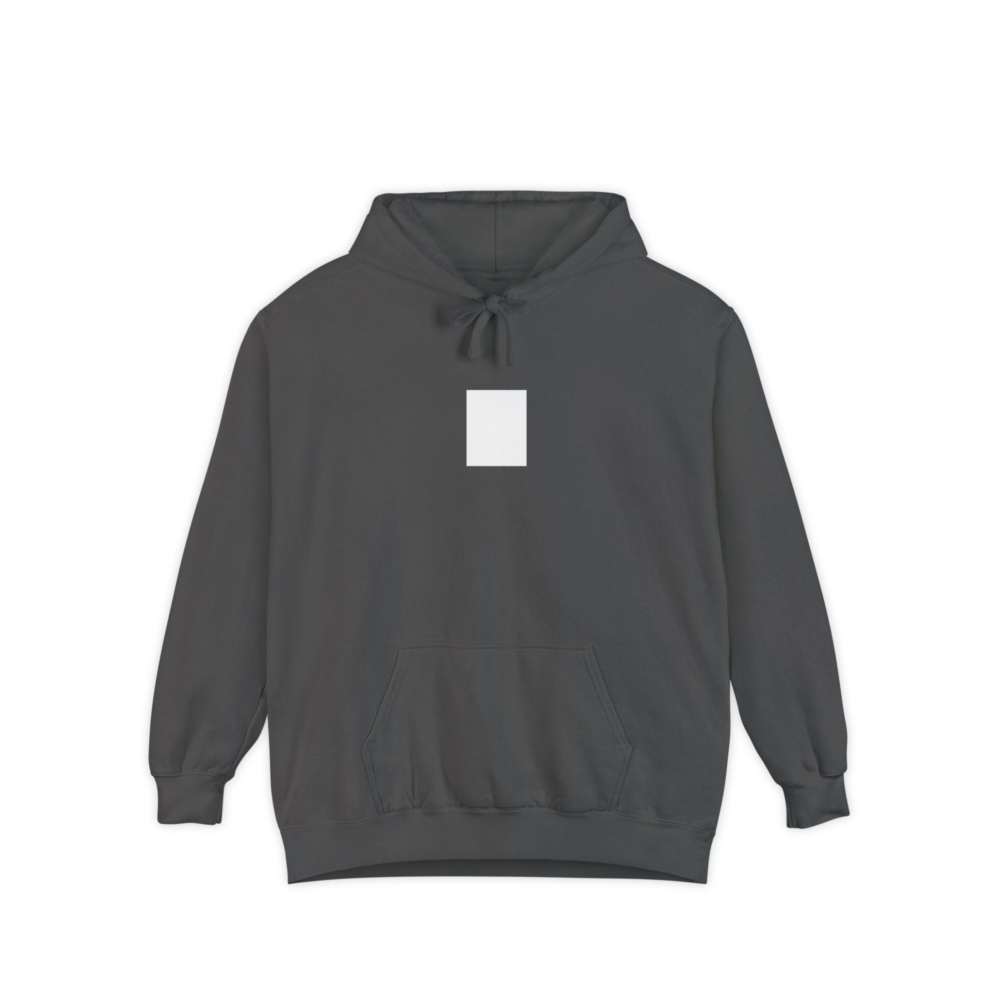 Legends Are Misfits x Comfort Colors "BLANK SLATE" Graphic Hoodie