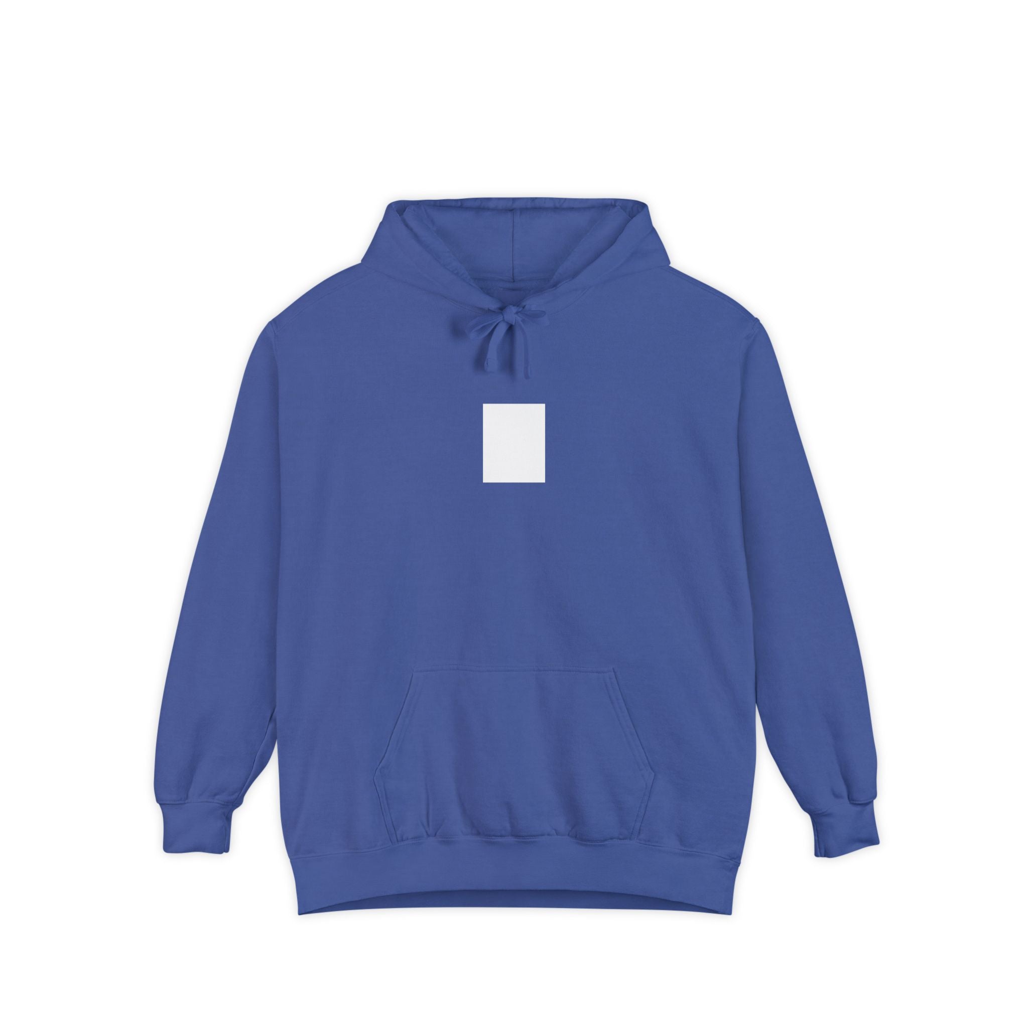 Legends Are Misfits x Comfort Colors "BLANK SLATE" Graphic Hoodie