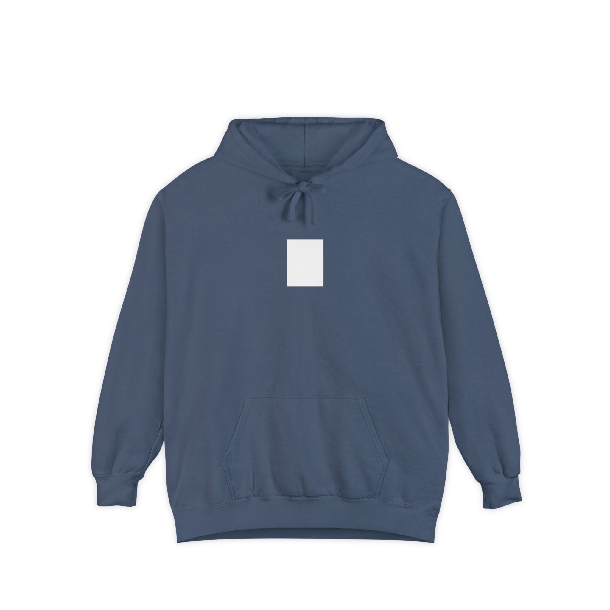 Legends Are Misfits x Comfort Colors "BLANK SLATE" Graphic Hoodie