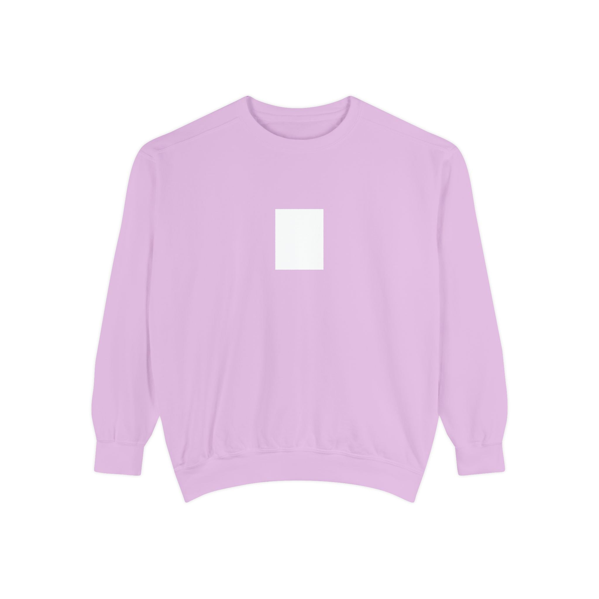 Legends Are Misfits x Comfort Colors "BLANK SLATE" Graphic Sweatshirt