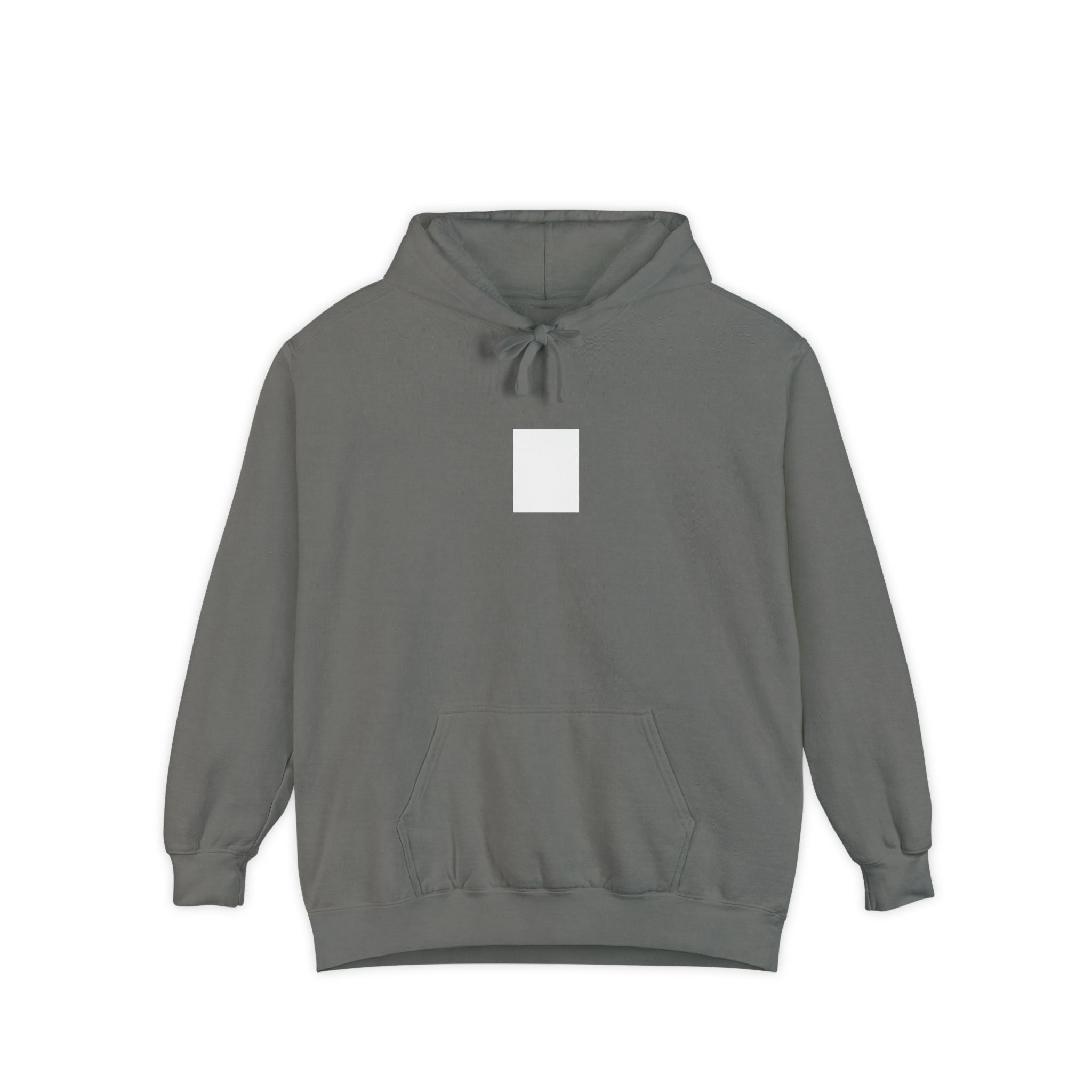 Legends Are Misfits x Comfort Colors "BLANK SLATE" Graphic Hoodie