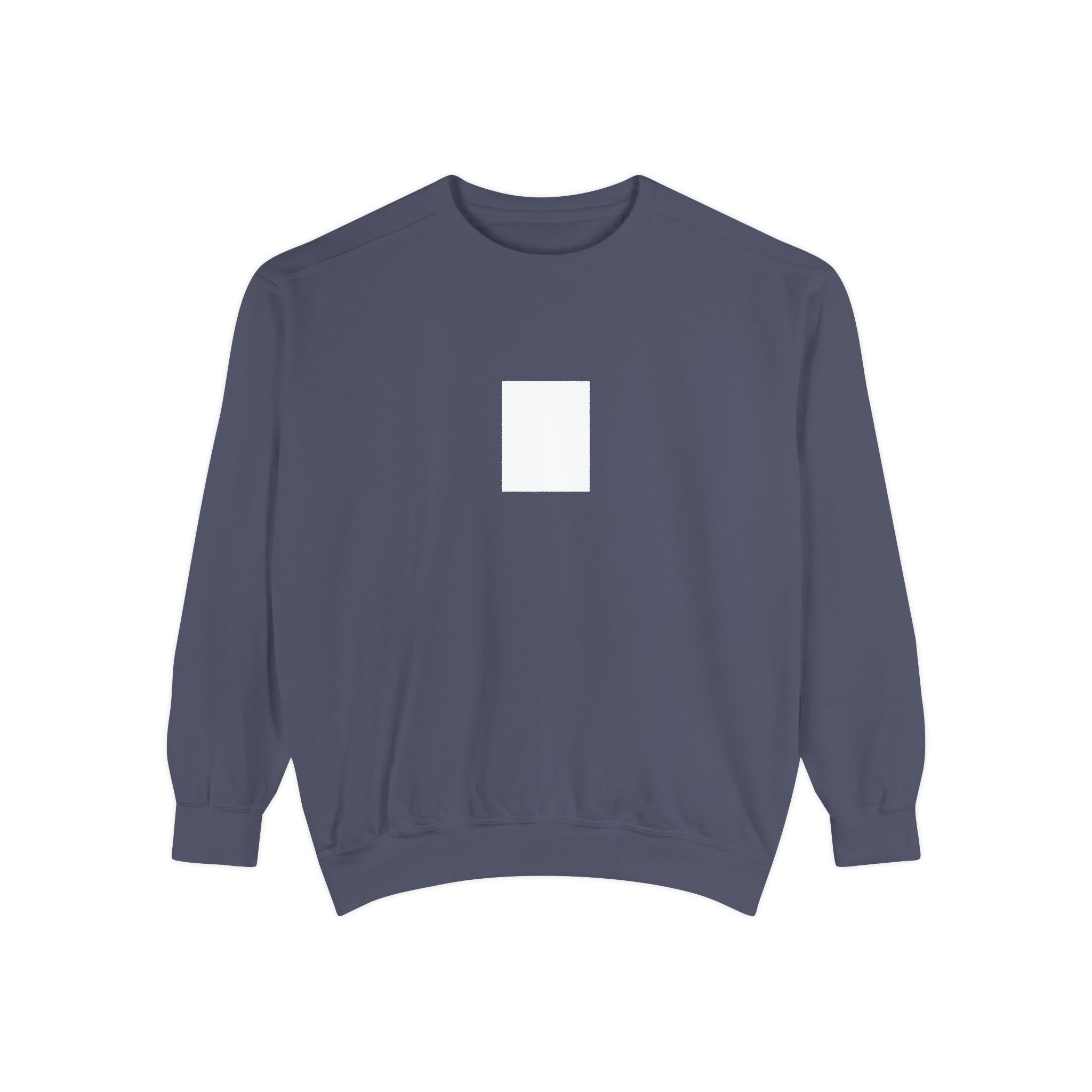 Legends Are Misfits x Comfort Colors "BLANK SLATE" Graphic Sweatshirt