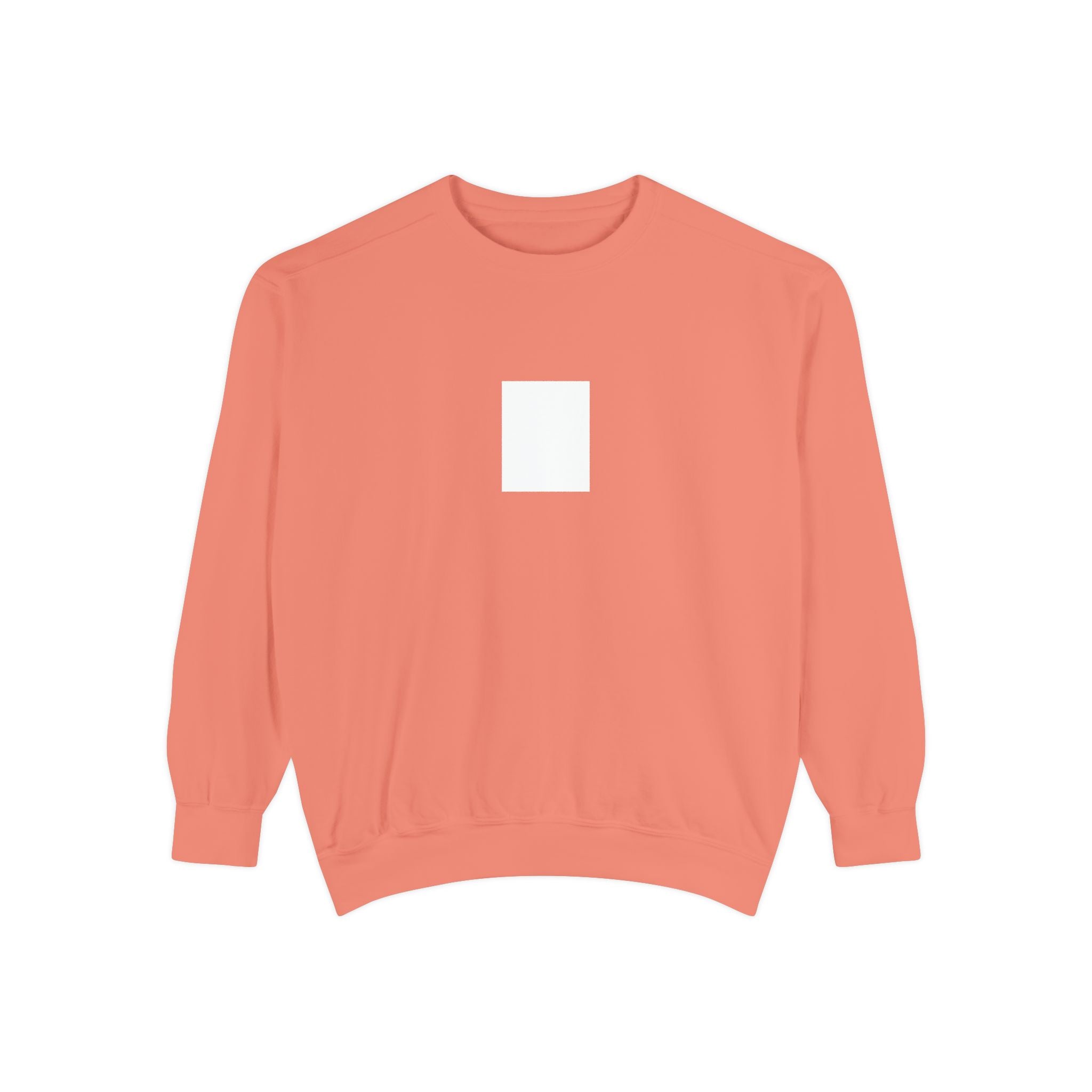 Legends Are Misfits x Comfort Colors "BLANK SLATE" Graphic Sweatshirt